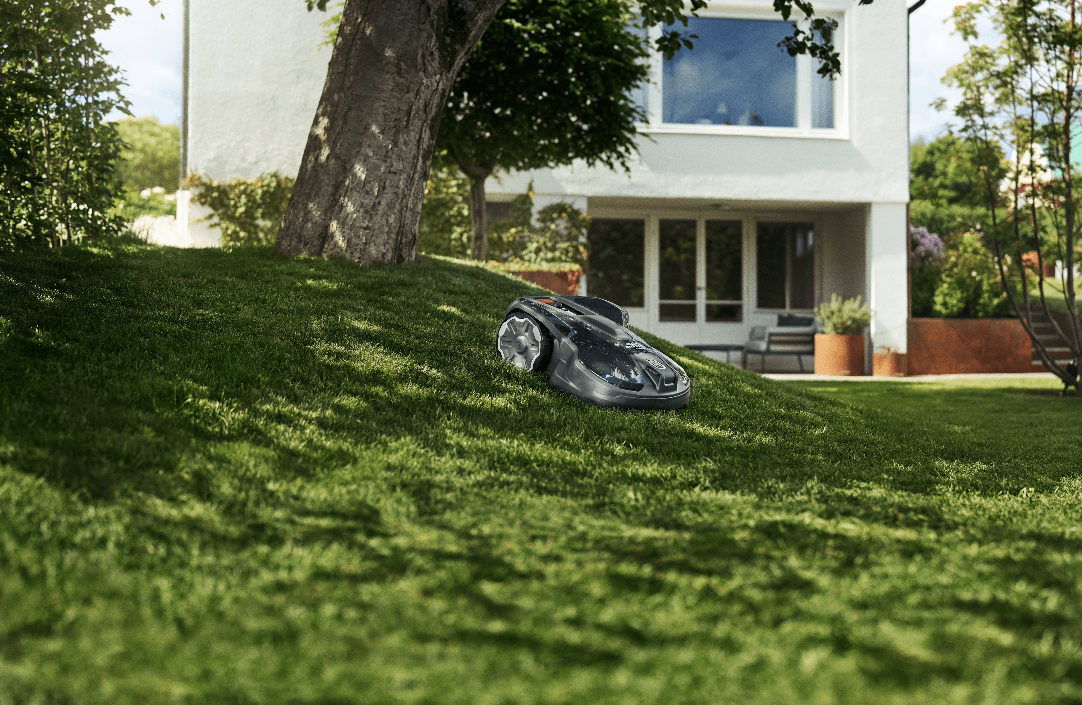 woman holding a trimmer